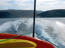 A scenic view of Santa Cruz Island from the ocean